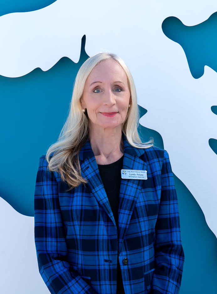 Lynda for web